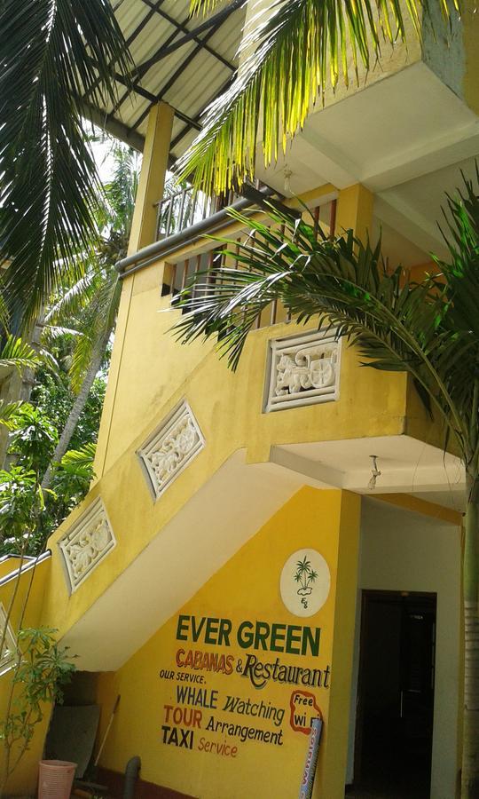Ever Green ミリッサ 部屋 写真